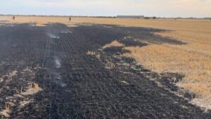 Incendiile de vegetație continuă în Timiș. Peste 12 hectare de teren au fost afectate în ultimele 24 de ore