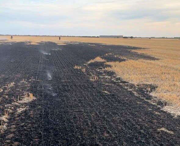 Incendiile de vegetație continuă în Timiș. Peste 12 hectare de teren au fost afectate în ultimele 24 de ore