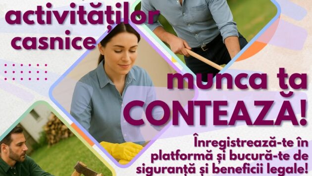 Prestatorul casnic, o oportunitate pentru venituri suplimentare și protecție socială