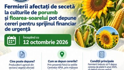 Peste 155 de milioane de lei pentru fermierii afectați de secetă. APIA primește cererile de sprijin în perioada 12 octombrie – 6 noiembrie 2026
