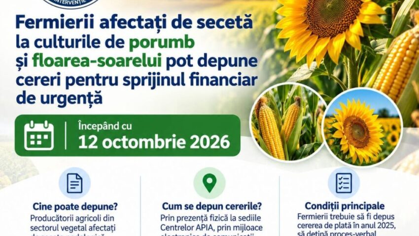 Peste 155 de milioane de lei pentru fermierii afectați de secetă. APIA primește cererile de sprijin în perioada 12 octombrie – 6 noiembrie 2026